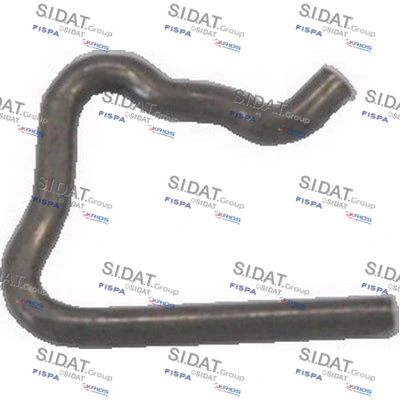 81099 Sidat