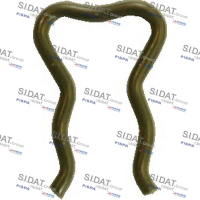 81074 Sidat