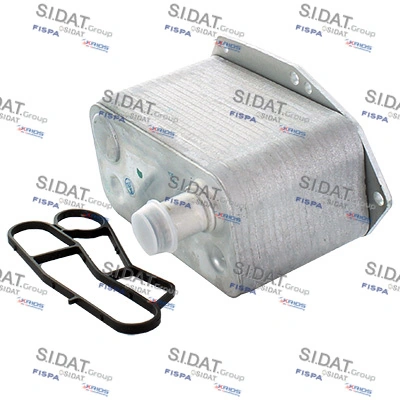 590036 Sidat