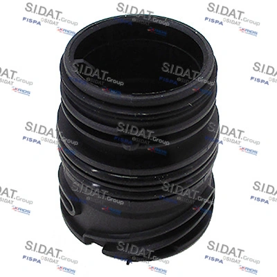 405493 Sidat