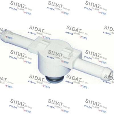 81015 Sidat
