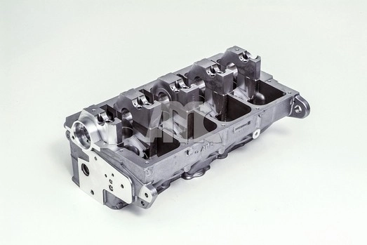 Головка Шкода Октавия II A5