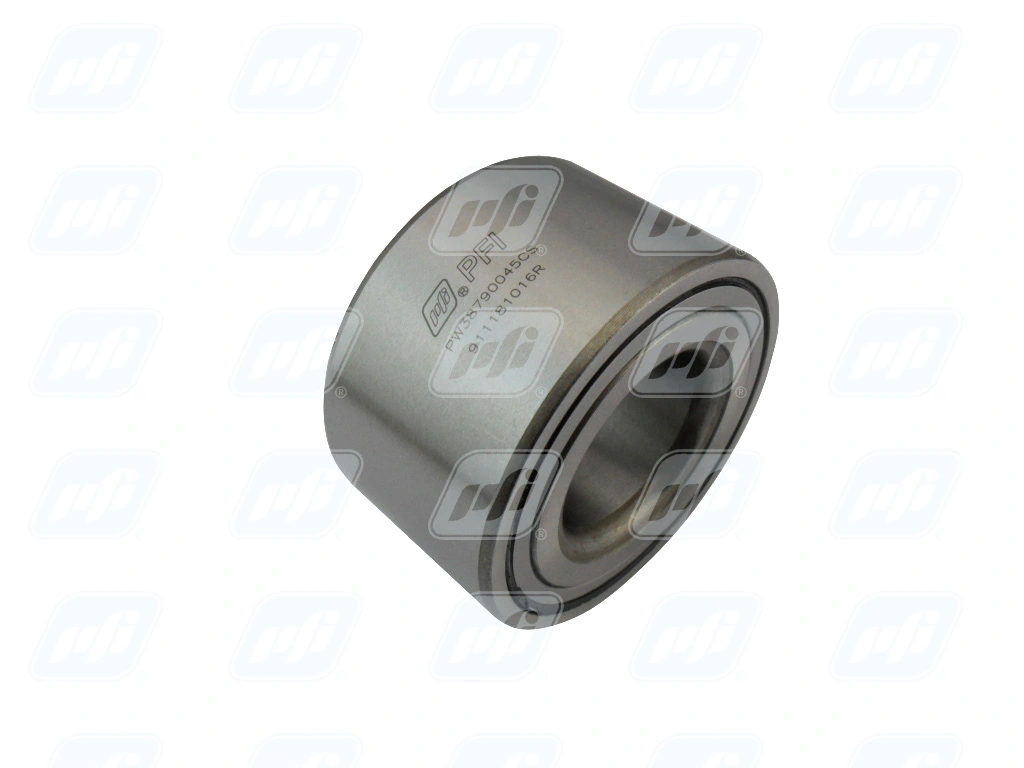 PW38790045CS PFI Подшипник ступицы задней