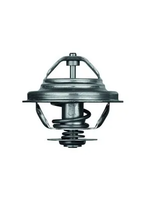 Termostato BMW 5 E28