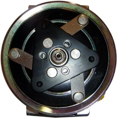 Compressor de aparelho de ar condicionado Peugeot 207 WA, WC