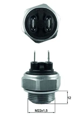 TSW63 Mahle Original