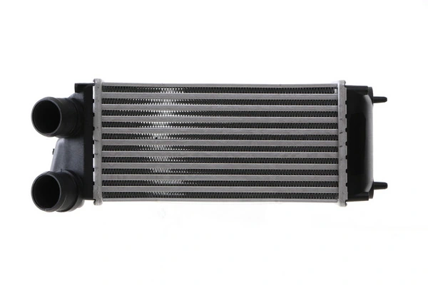 Radiador de intercooler Peugeot 307 3H