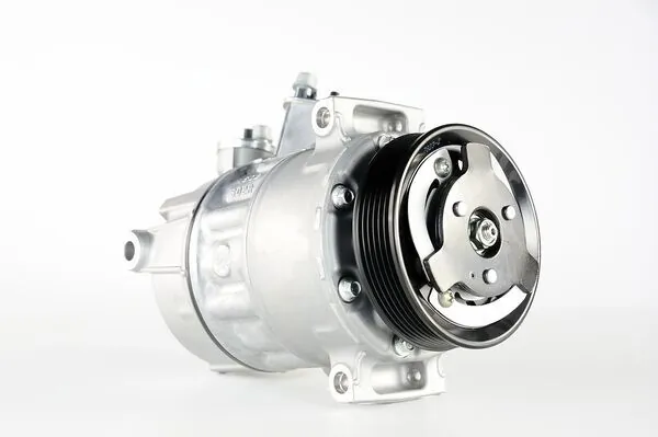 Компрессор системы кондиционирования Mahle Original ACP6000P цена, от 250.20 USD