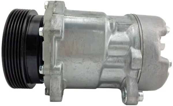 Compressor de aparelho de ar condicionado Ford Escort 5 GAL, AVL
