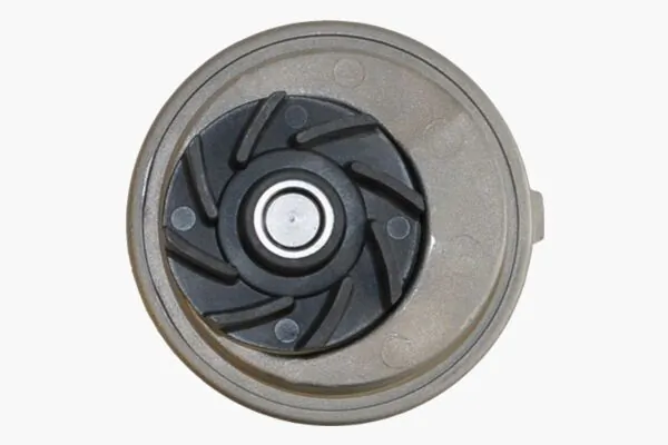 CP12000P Mahle Original
