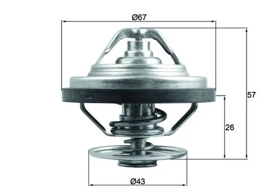 TX15879 Mahle Original