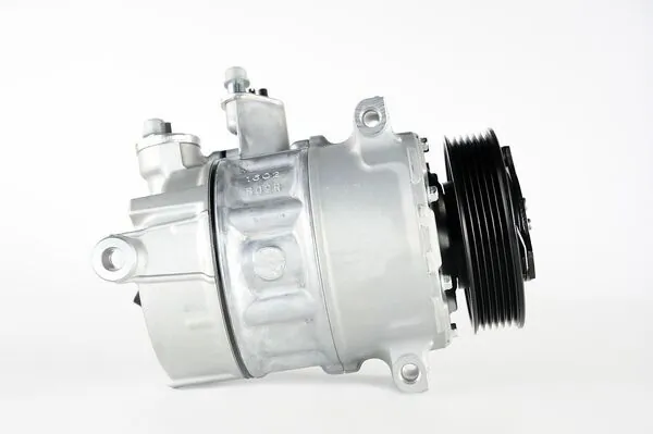 ACP6000P Mahle Original Компрессор хладагента