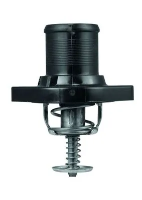 Termostato Peugeot Expert 224