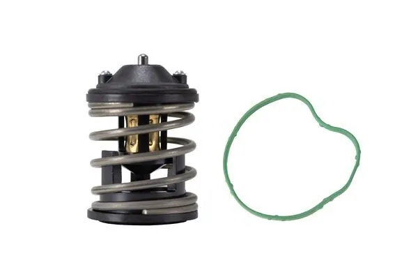 TX16387D2 Mahle Original