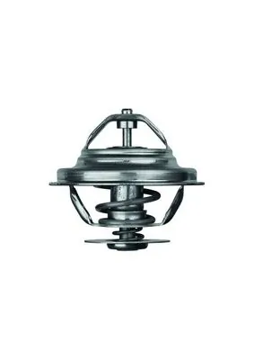 TX2071D Mahle Original 