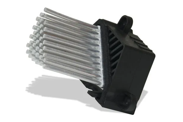 MELM1 Mahle Original