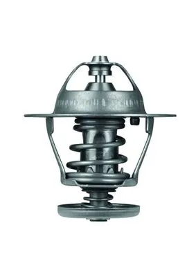 Termostato Citroen Jumper 250