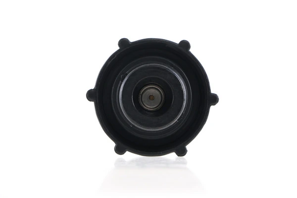 Tampa (tampão) do tanque de expansão Jaguar X-type CF1