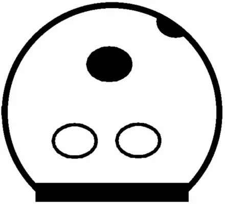 Compressor de aparelho de ar condicionado BMW 5 E34