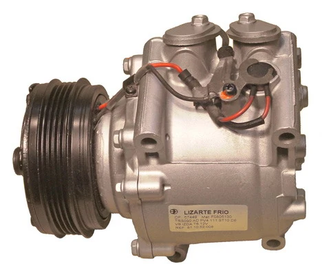 811052008 Lizarte