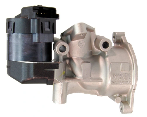 EGR004 Lizarte