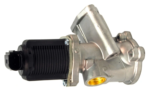 EGR010 Lizarte