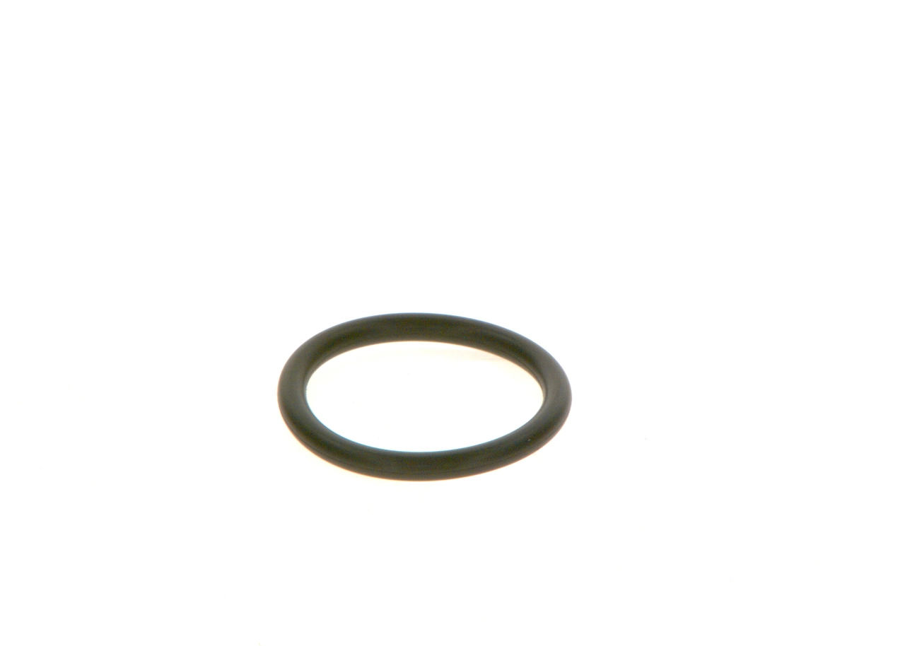 F00RJ01728 Bosch 