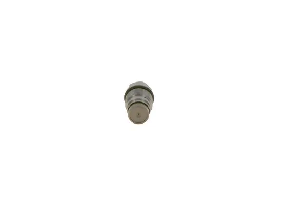 1110010019 Bosch Редукционный клапан ТНВД