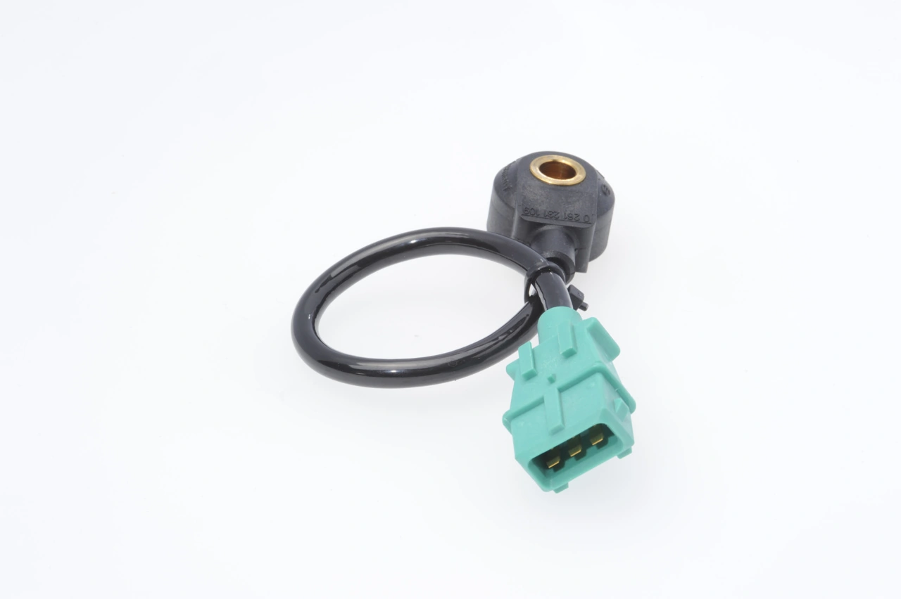 0261231109 Bosch