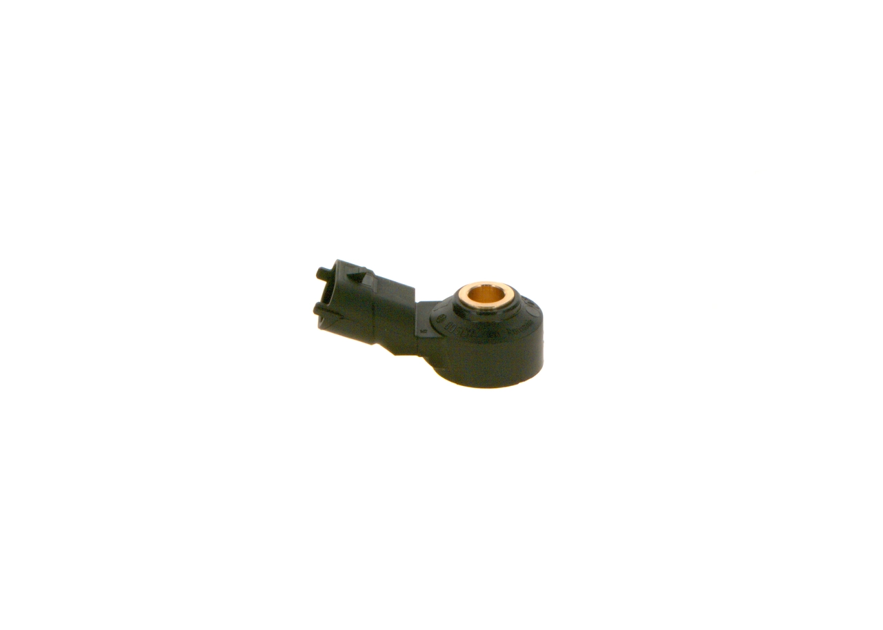 0261231173 Bosch
