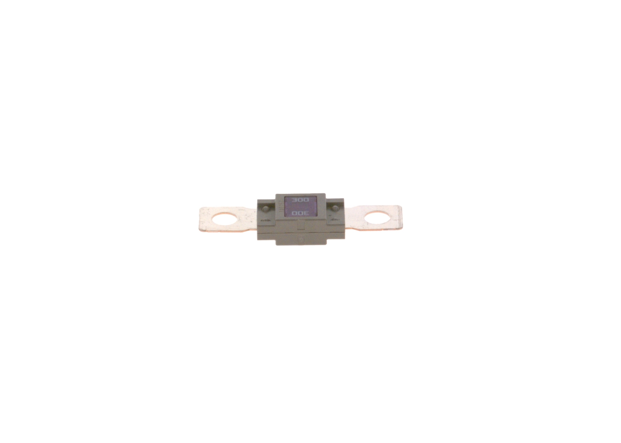 Предохранители (электрических цепей) Bosch 1987531007 цена, от 7.04 USD