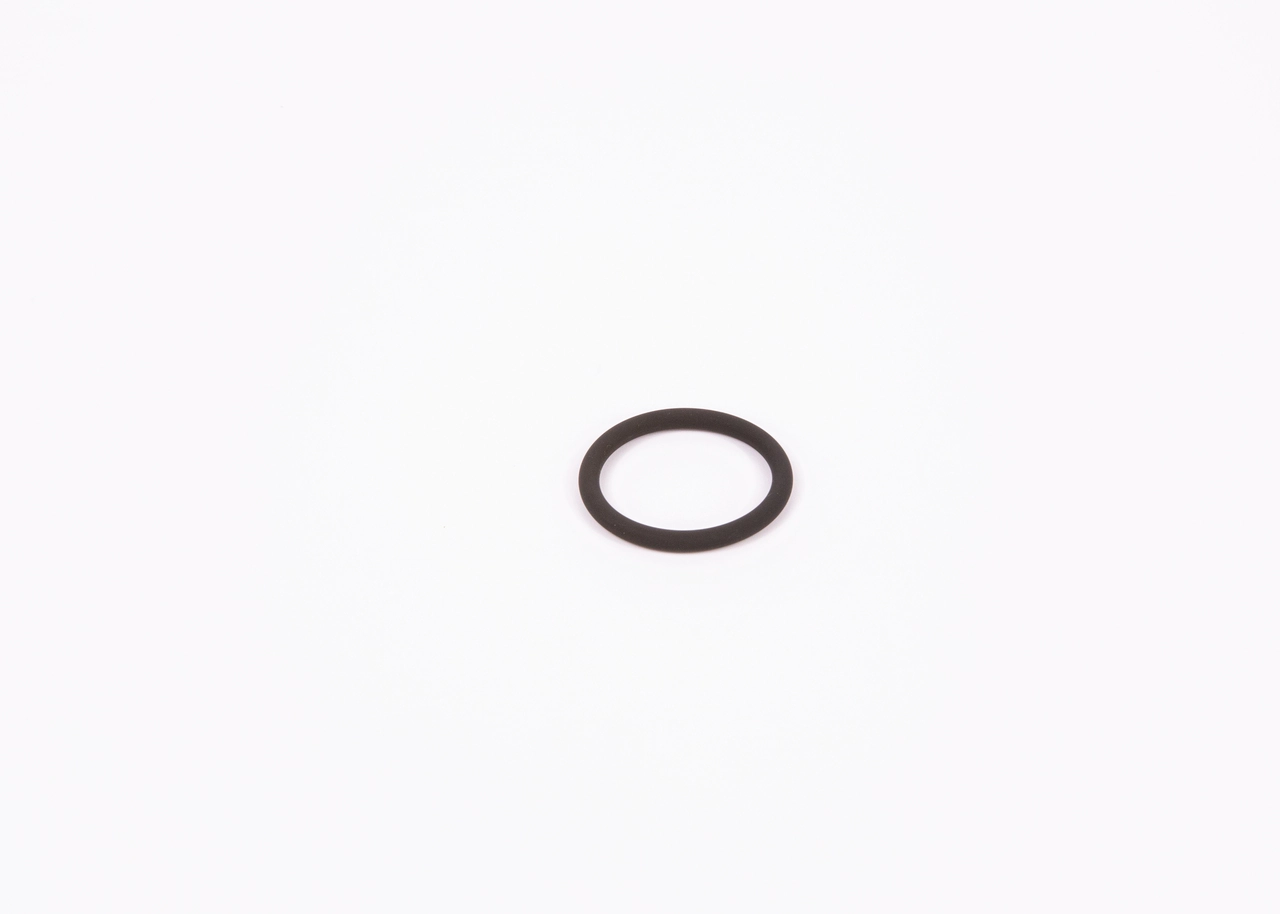 F00RJ00534 Bosch 