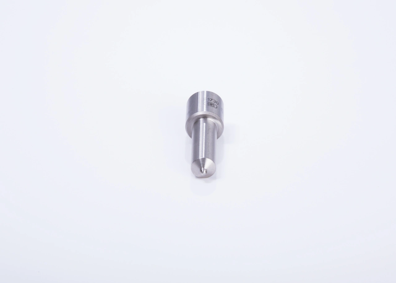 0433171100 Bosch Распылитель форсунки