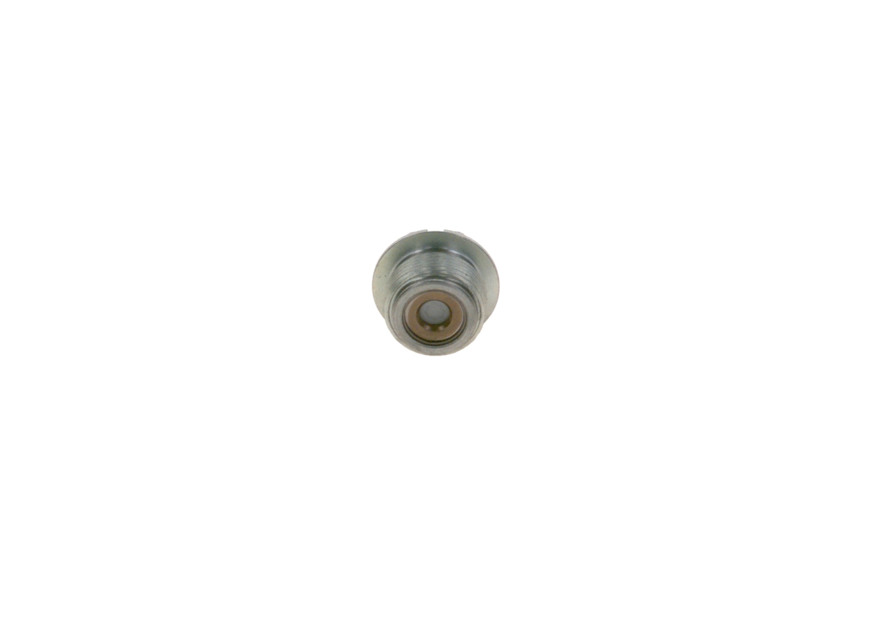 Bosch 2443461003 цена, от 51.84 USD