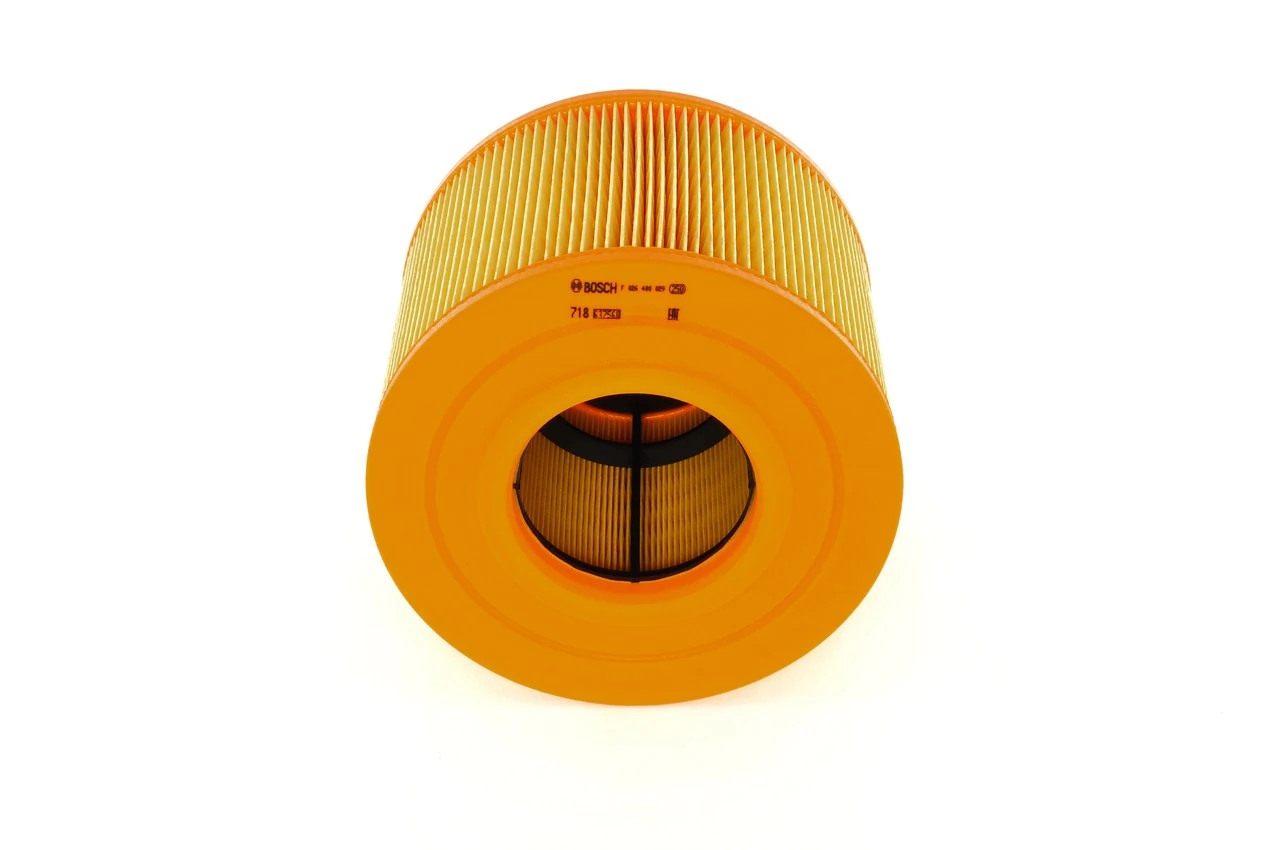 F026400029 Bosch Воздушный фильтр двигателя