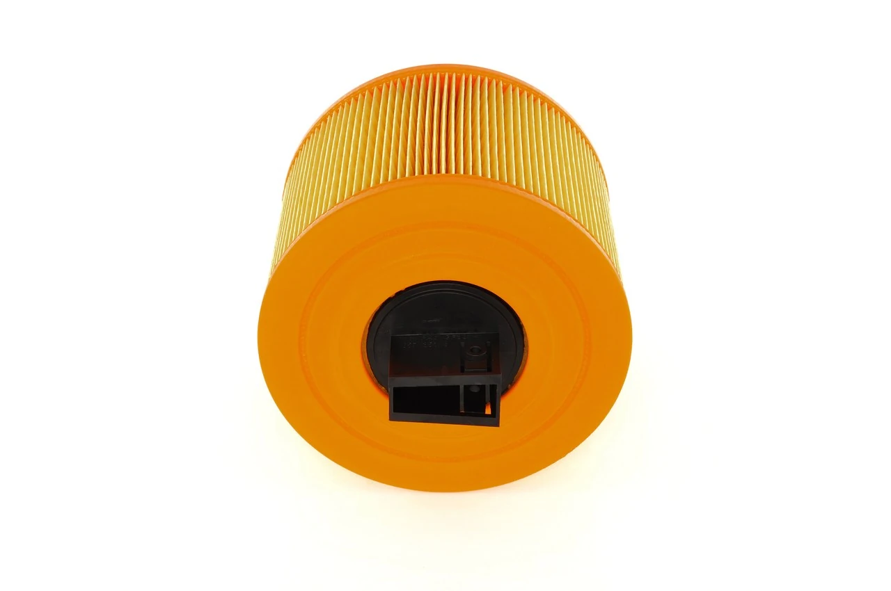 Купить F026400029 Bosch Автомобильный фильтр воздуха