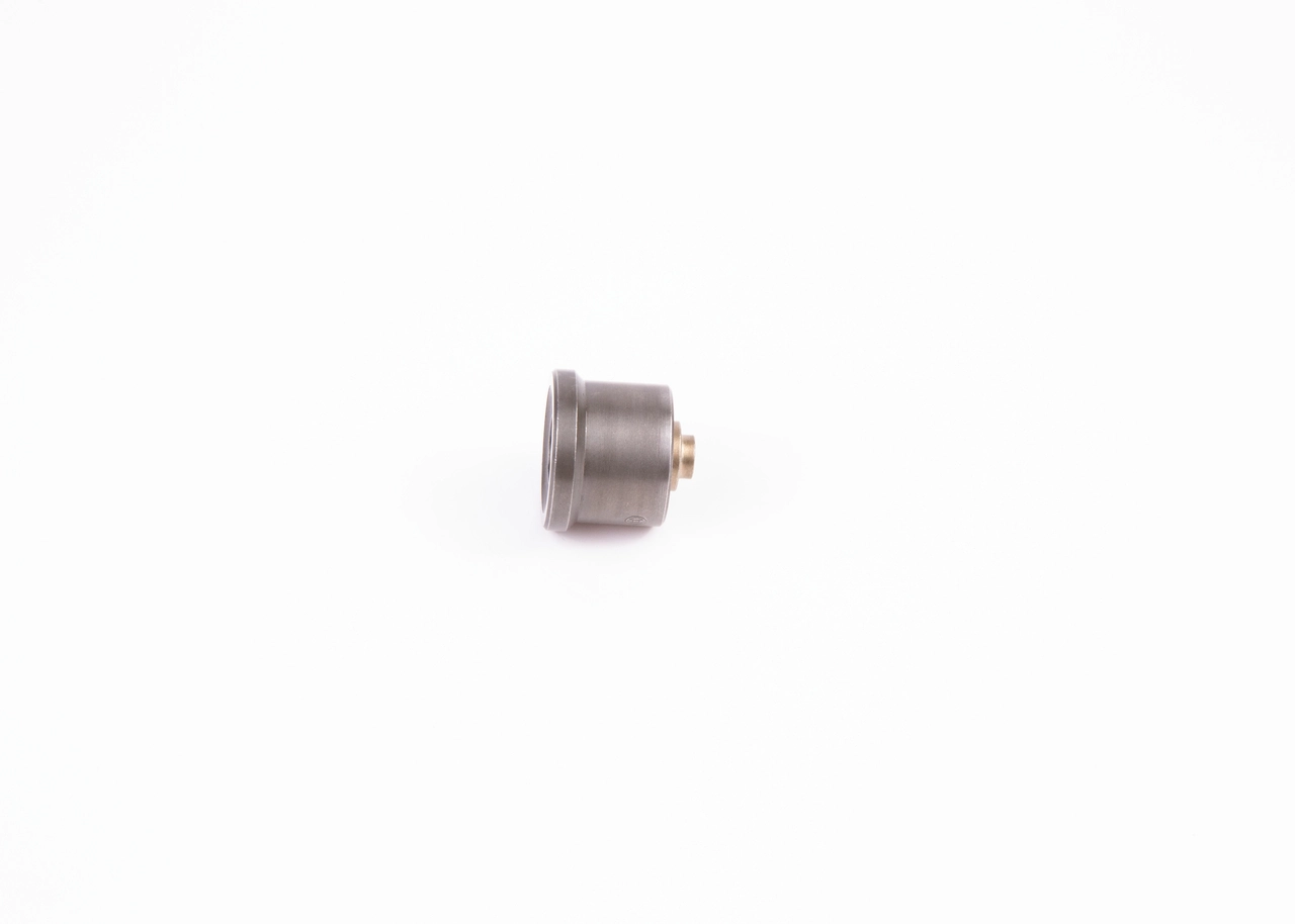 2418552105 Bosch Клапан ТНВД нагнетательный