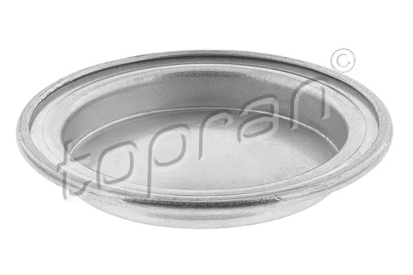 Tampão CBC/do bloco de cilindros Fiat Punto 1 176