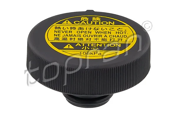 Tampa (tampão) do tanque de expansão Lexus LS USF4