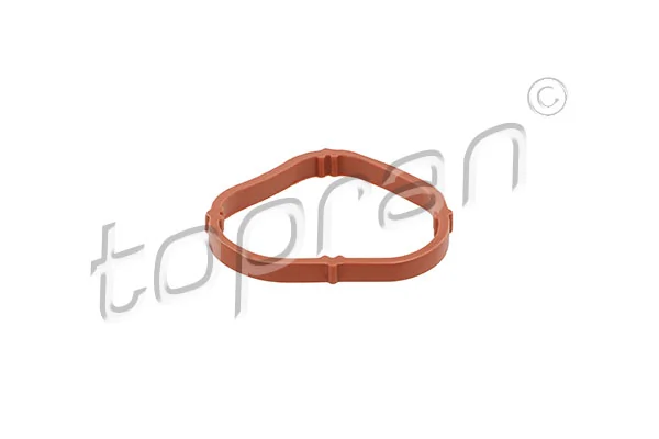 Vedante de tubo coletor de admissão Dacia Sandero 1 BS0, 1