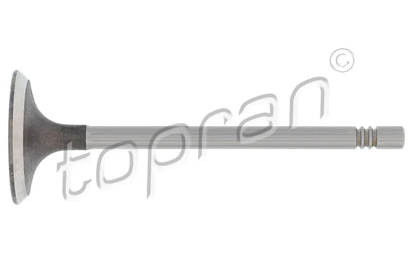Впускной клапан PVWG035 AMP/Paradowscy