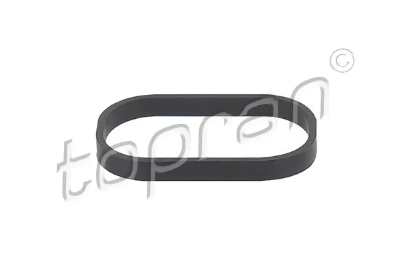 Vedante de tubo coletor de admissão BMW 1 F21