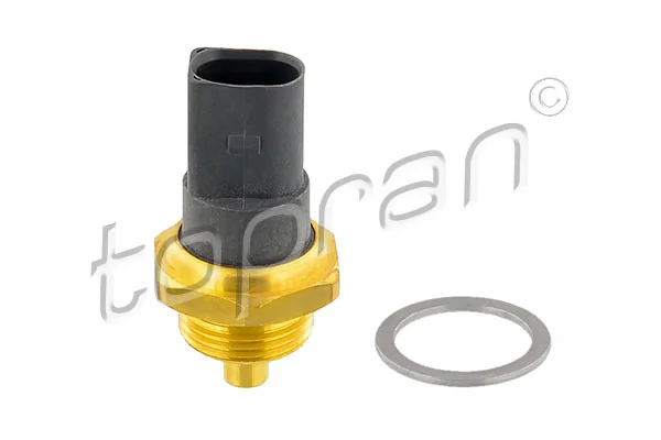 Sensor de temperatura do fluido de esfriamento Seat Exeo 3R5