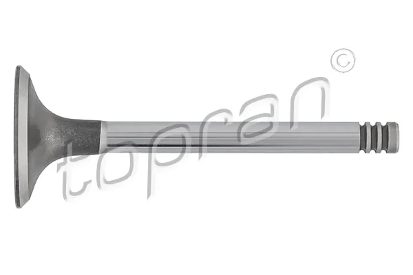 Купить 855017 SM Впускной клапан