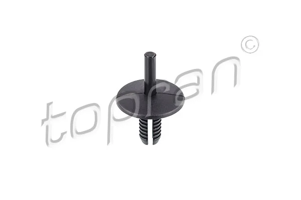 30863146 AND 