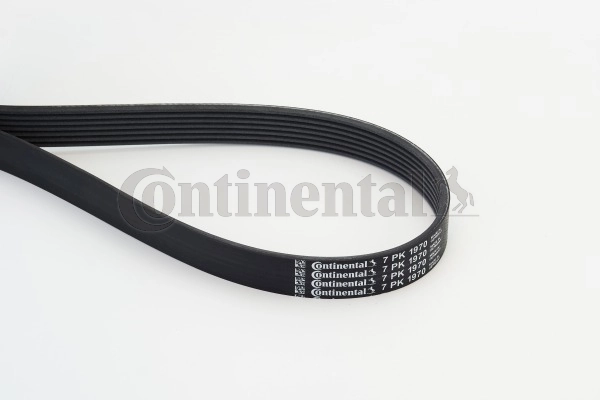 Клиновый ремень Mercedes 0039930196 цена, от 22.73 USD