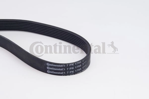 7PK1795K1 Continental/Siemens Ремень приводной, комплект