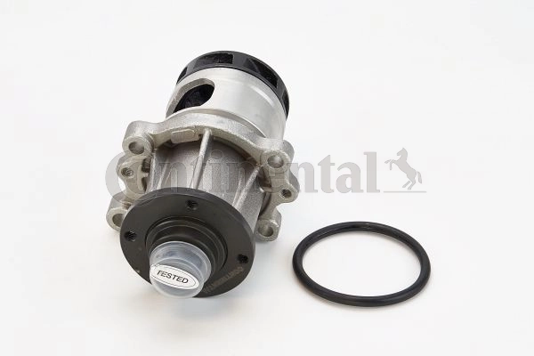 WPS3011 Continental/Siemens