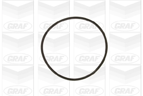 PA609 Graf Насос водяной