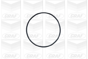 PA541 Graf Насос водяной